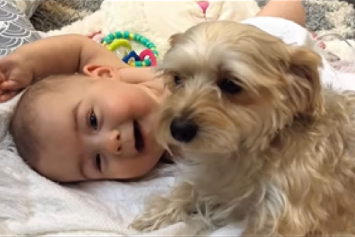 Imagem colorida de bebê com cadela