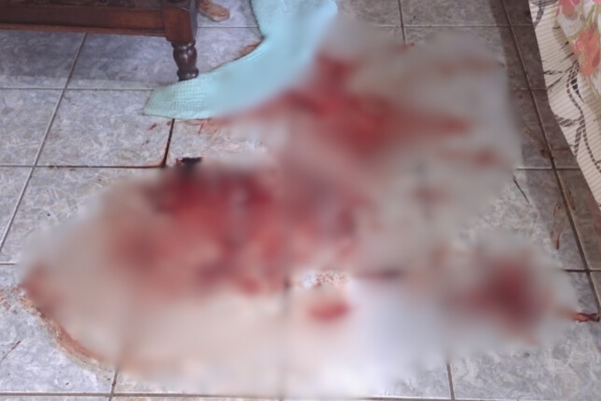 Homem é preso após tentar matar a própria mãe, de 87 anos, em SP