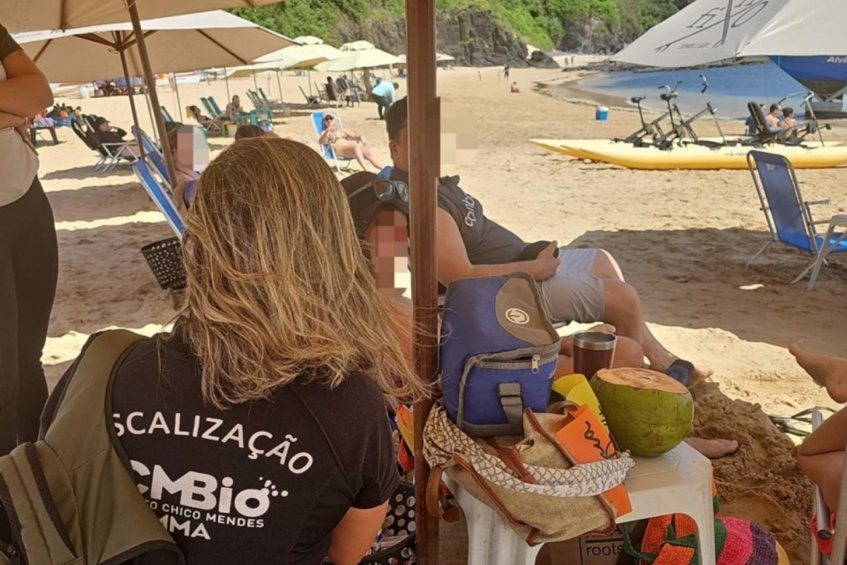 Turista é autuado por perseguir e pegar tartaruga em Noronha