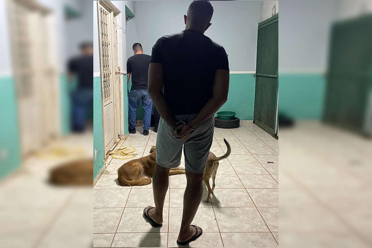 Clínica do terror: falso veterinário matou cães e gatos após cirurgias