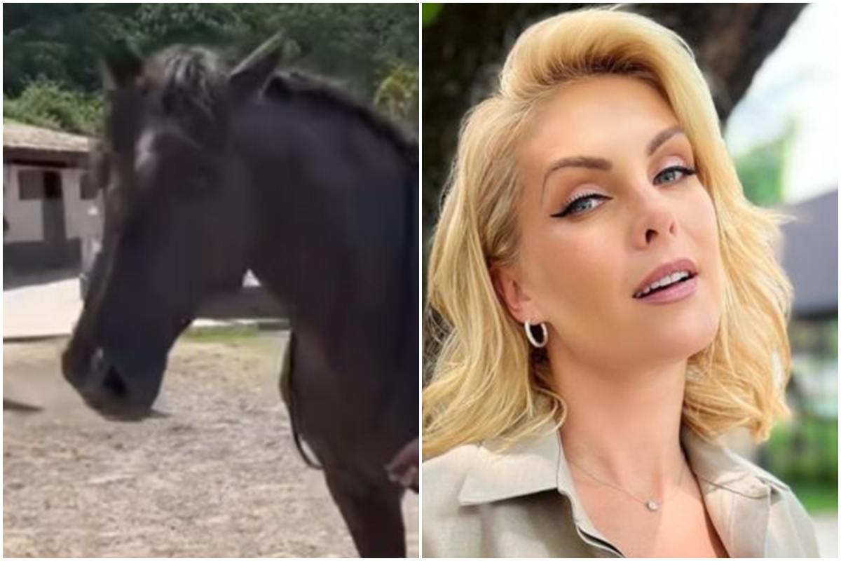 Entenda por que banco pede penhora do cavalo de Ana Hickmann