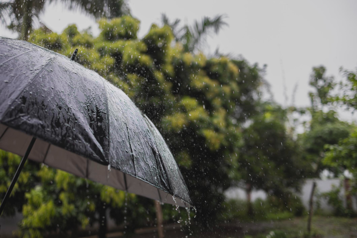 Previsão do tempo: saiba onde o temporal segue nesta quinta (25)