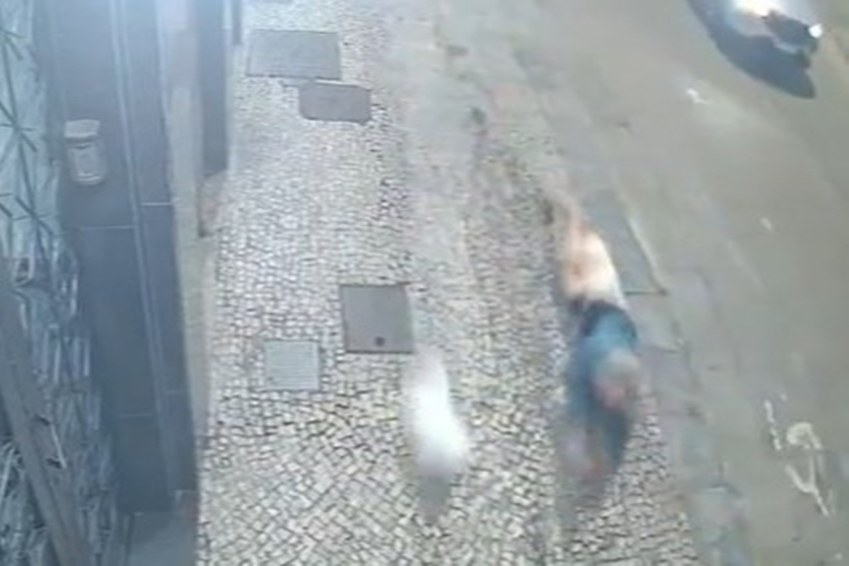 Vídeo: mulher é arrastada por moto enquanto passeava com cachorros