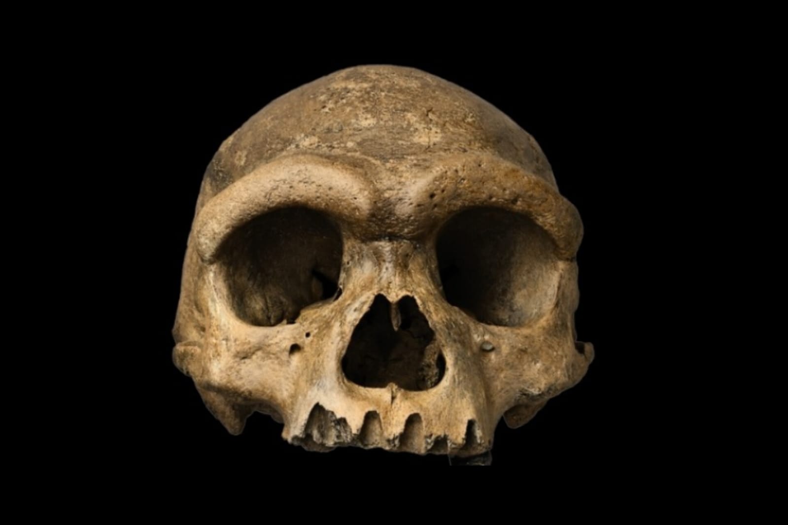“Homem Dragão”: cientistas acham origem de caveira de 146 mil anos