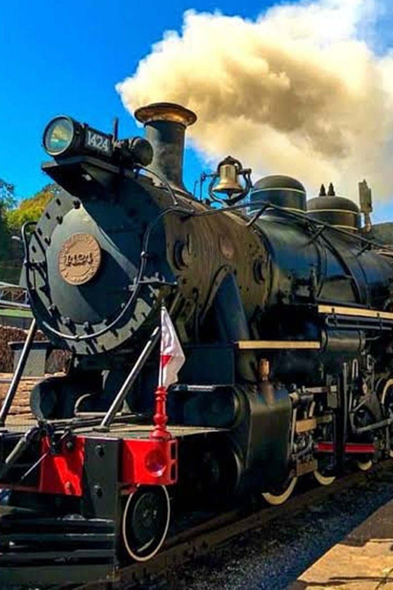Foto colorida de trem - Metrópoles