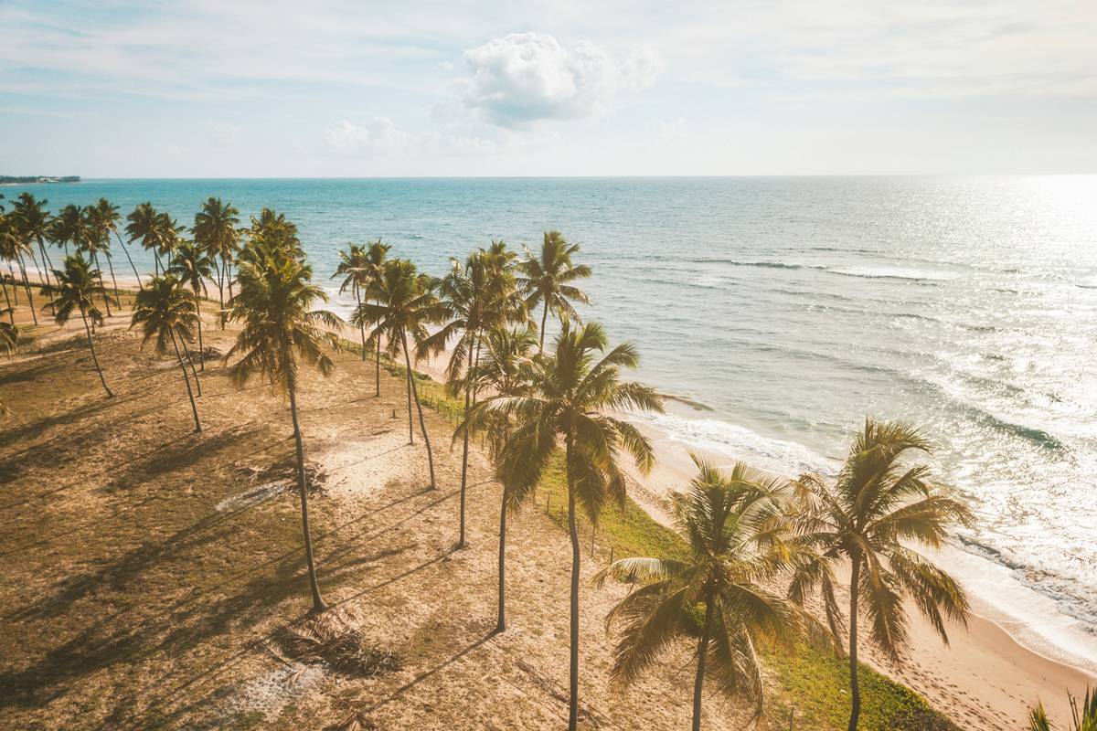 Foto colorida de praia - Metrópoles