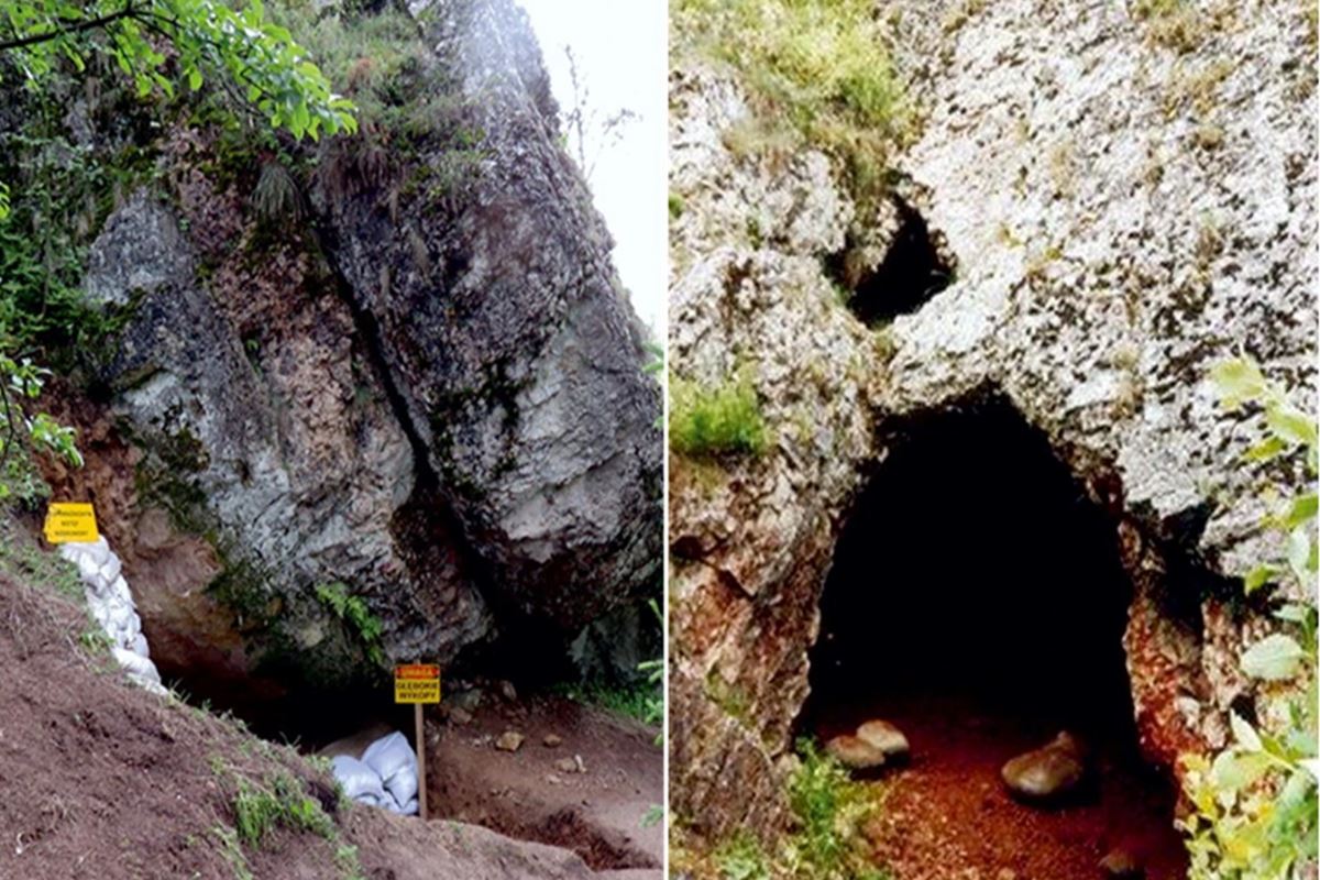 entrada triangular de uma caverna coberta pro formação rochosa e vegetação. 