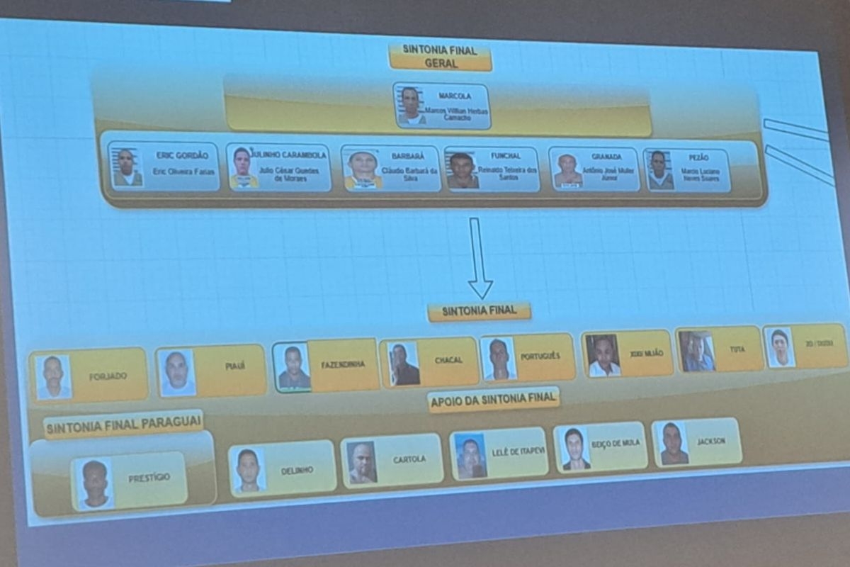 Imagem colorida de organograma do PCC. Metrópoles