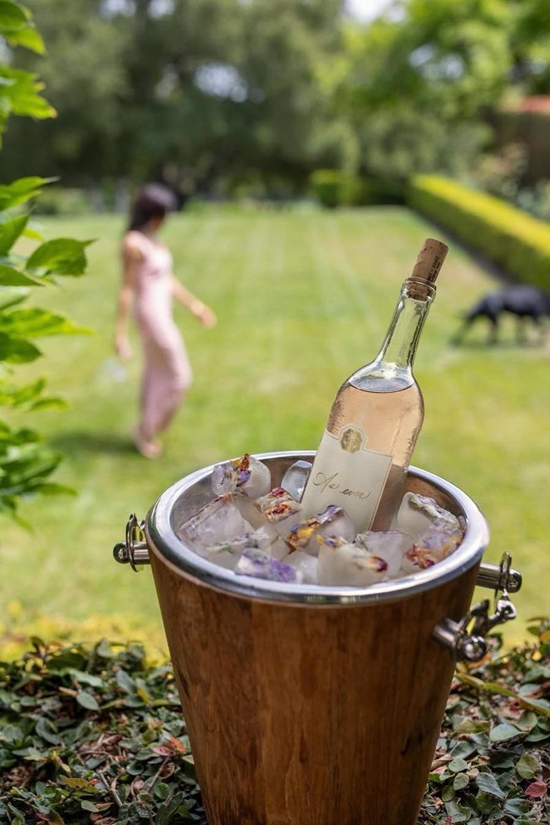 Foto colorida de garrafa de vinho em balde com gelo - Metrópoles