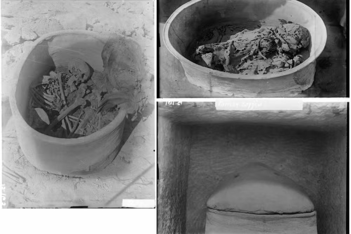 Cientistas reconstroem face de egípcio usando ossada de 4,5 mil anos 2 Imagem em preto e branco de restos mortais de homem egípcio - Metrópoles