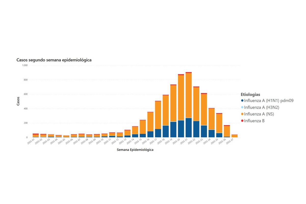 Gráfico com casos de gripe em São Paulo - Metrópoles