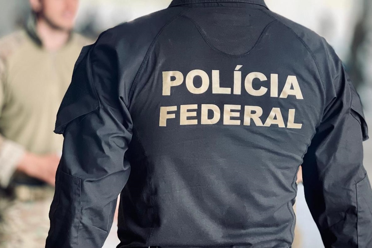 Cadastro rural era fraudado por grileiros para fugir de multas; veja