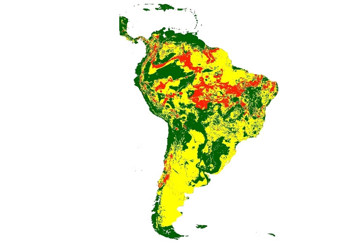 Imagem mostra mapa do brasil com áreas amarelas, verdes e vermelhas, representando partes do país onde o barbeiro está presente - Metrópoles