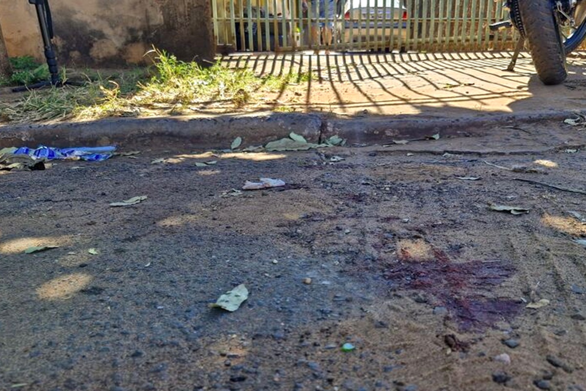 Homem é mutilado por pit-bulls e passa por cirurgia. Vídeo