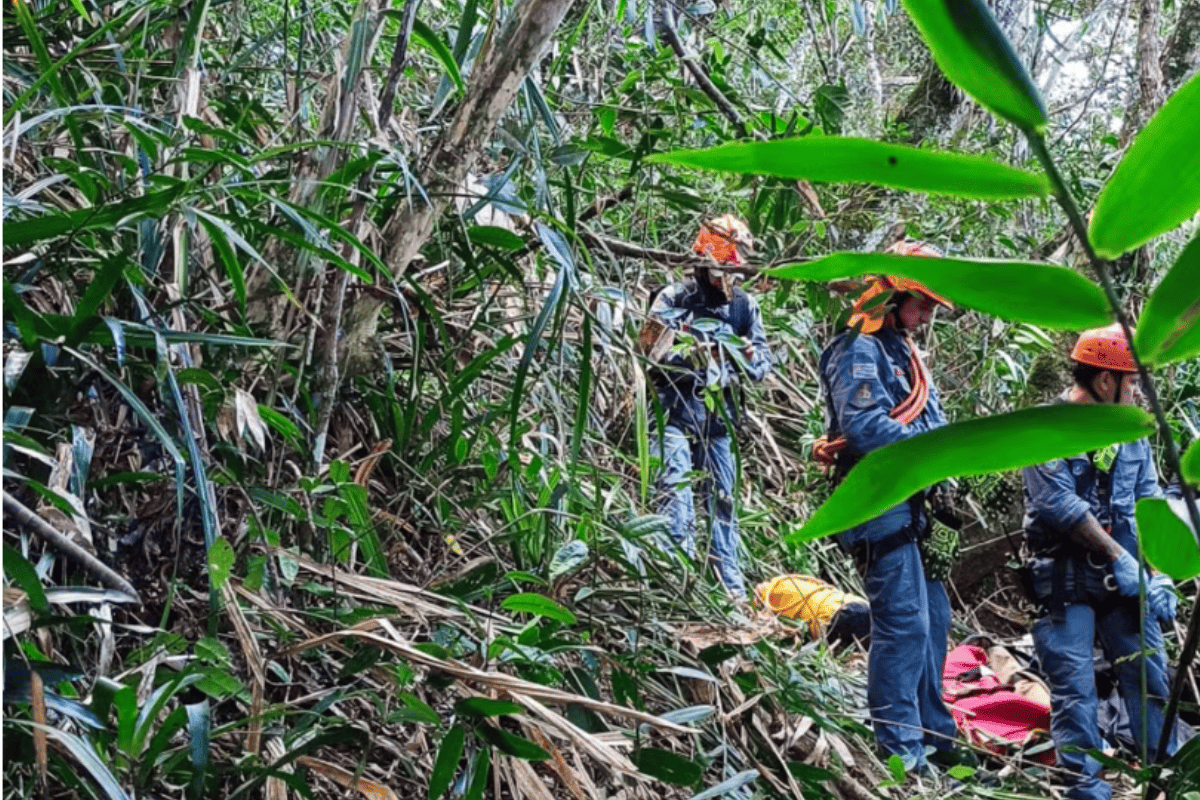 Piloto de asa-delta morre após saltar de morro no litoral de São Paulo
