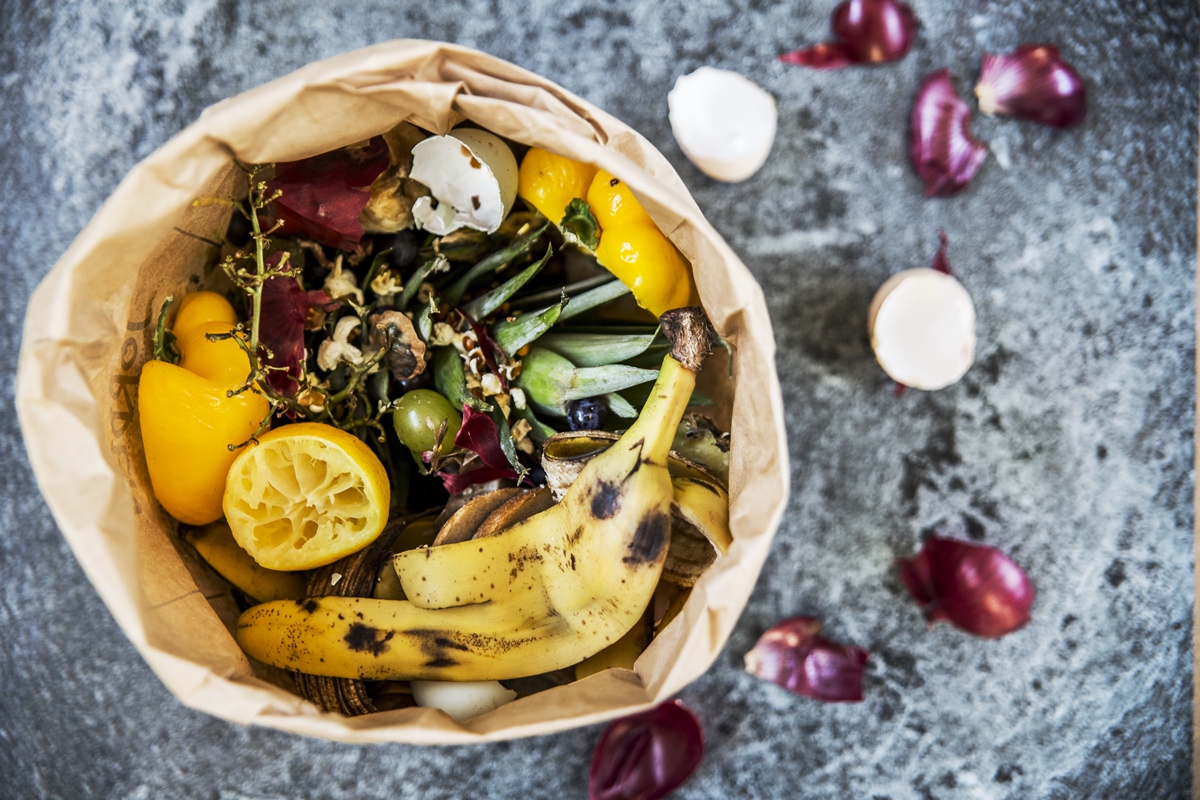Sem desperdício: casca de fruta faz bem e pode ajudar no emagrecimento