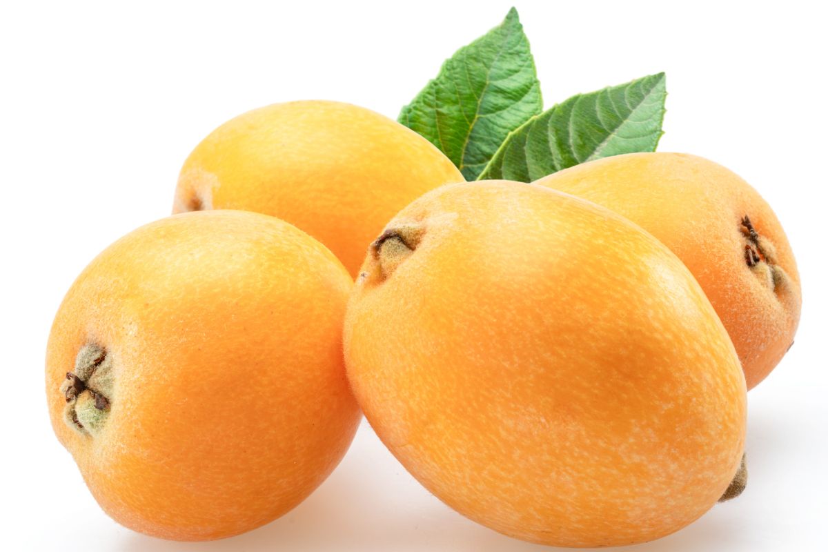 Frutos de nêspera perfeitos maduros com folhas verdes isoladas no fundo branco