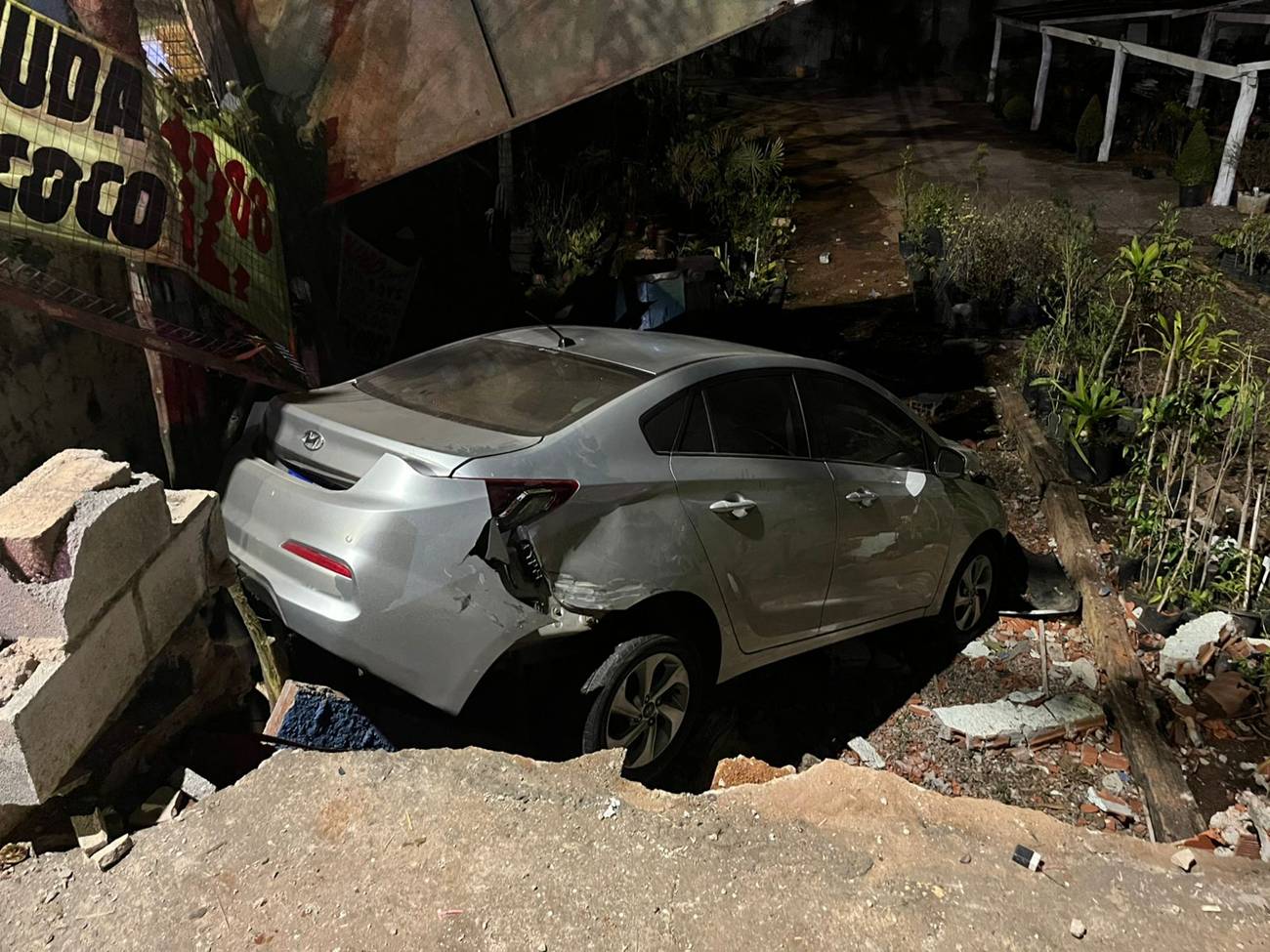 Carro desgovernado derruba muro e invade floricultura no DF. Vídeo