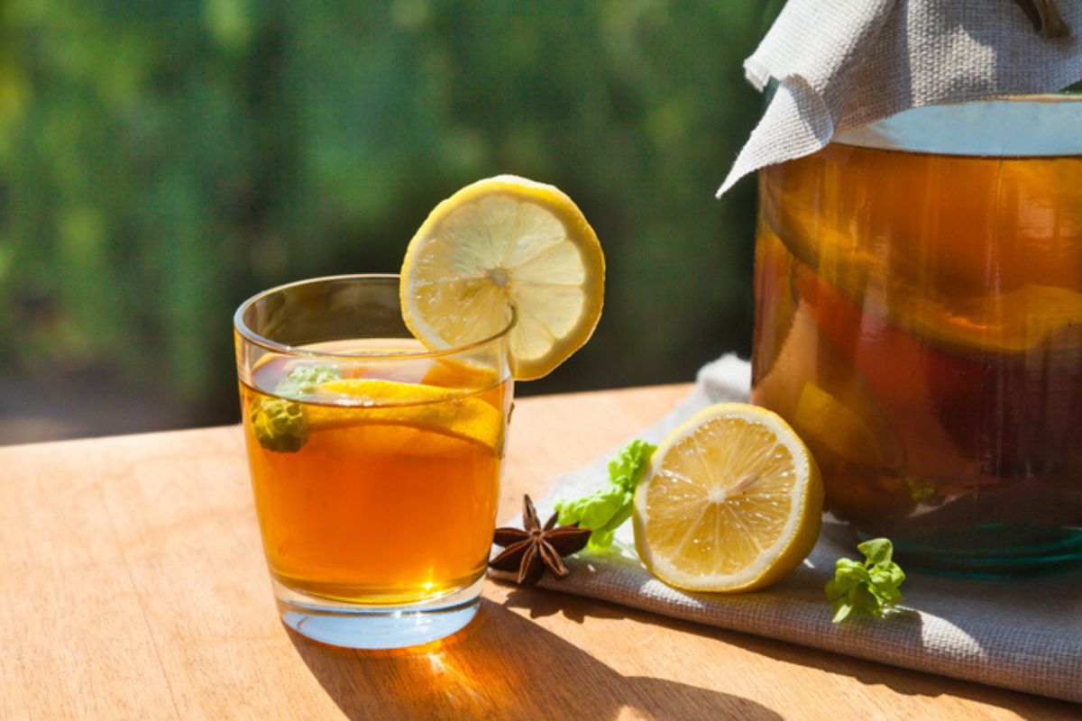 Kefir, kombucha e dois chás aliados da saúde intestinal