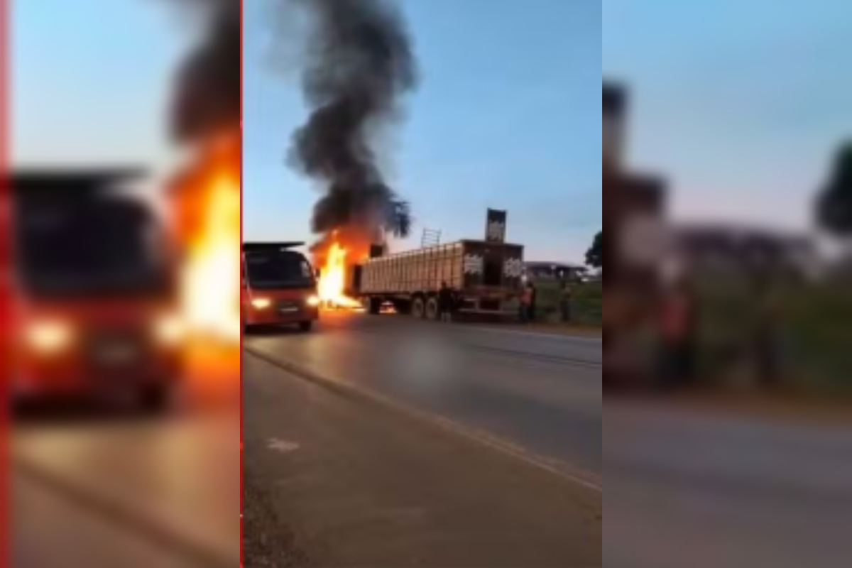 Vídeo: caminhão boiadeiro pega fogo e gado foge para se salvar