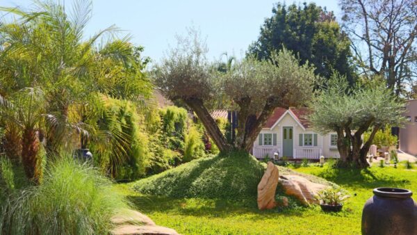 paisagismo feito por Ari braga em uma casa
