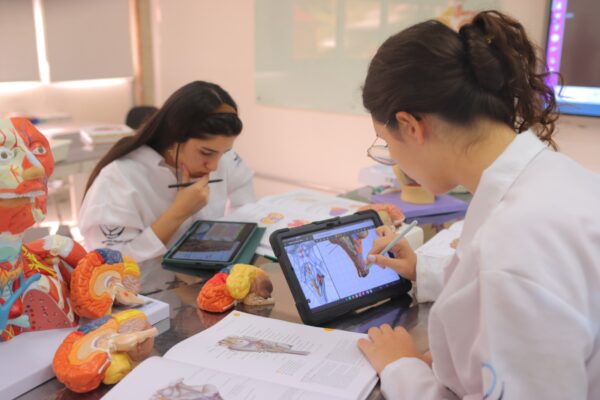 duas mulheres estudantes de medicina estudando 