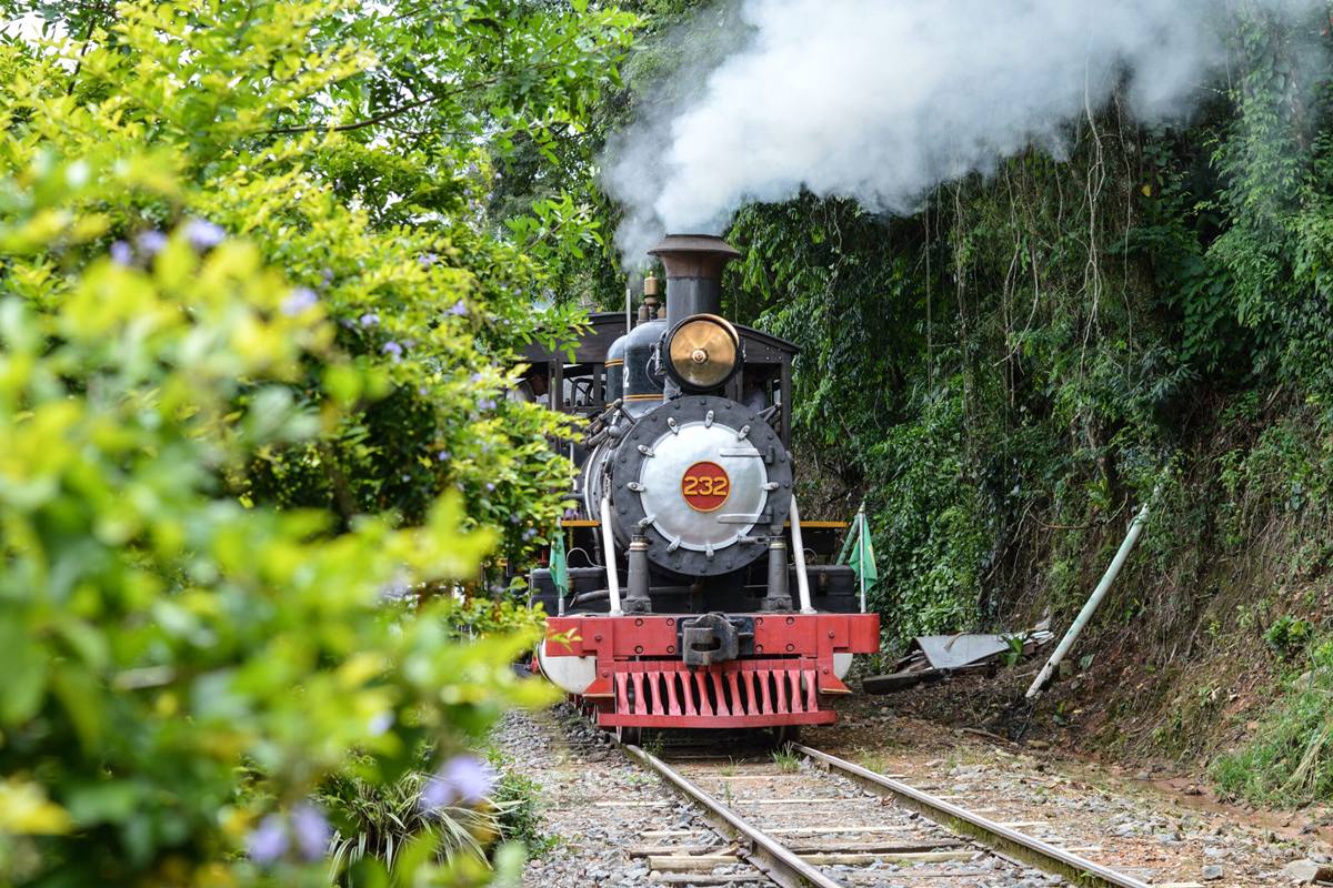 Foto colorida de trem entre vegetação - Metrópoles