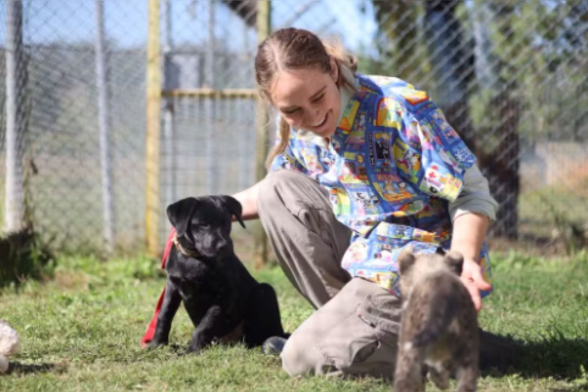 Cuidadora interagindo com cão e guepardo, no zoológico na Austrália
