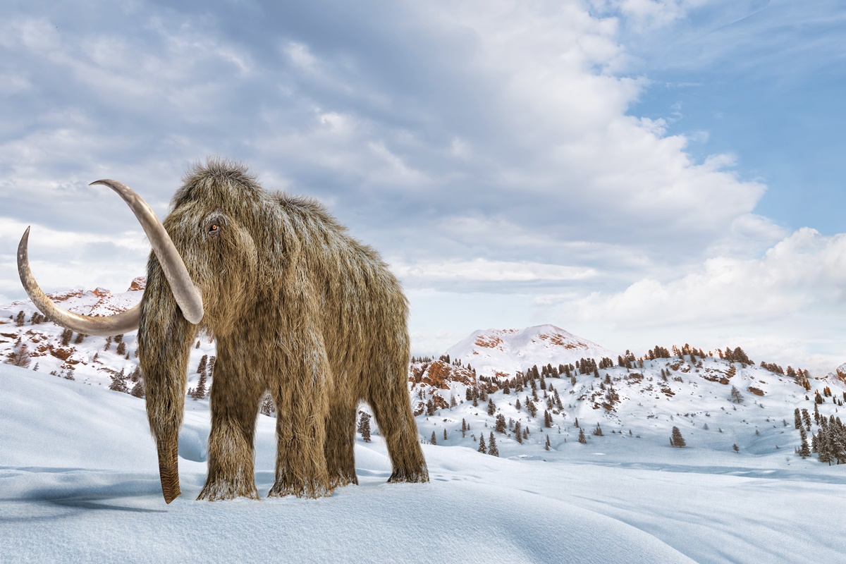 Ilustração colorida de mamute andando na neve - Metrópoles