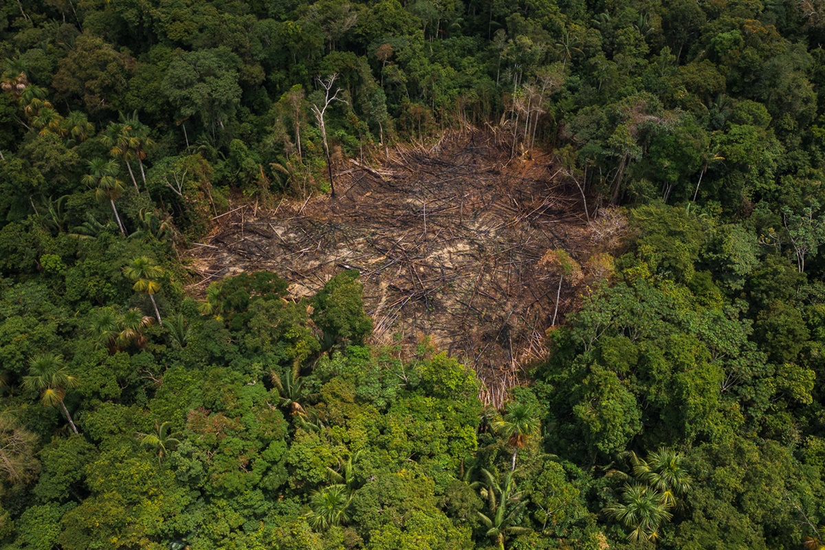 Inpe: desmatamento sobe 4% na Amazônia e reduz 21% no Cerrado