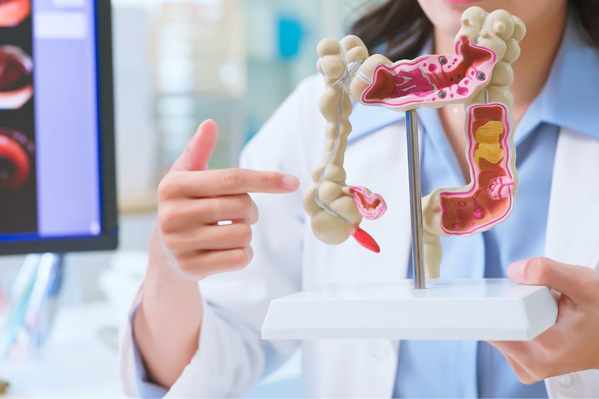 Intestino e Cérebro: A Conexão Surpreendente que Impacta Sua Saúde Mental e Física