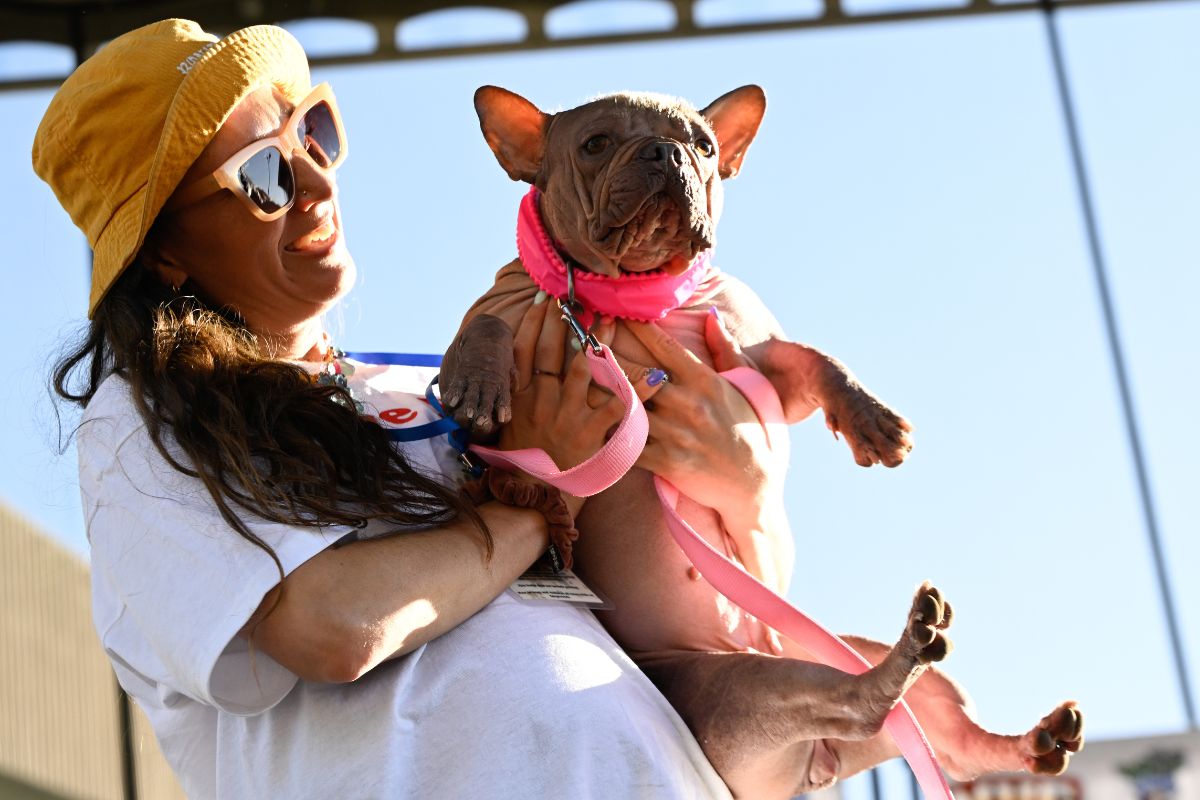 cadela Petunia com a tutora