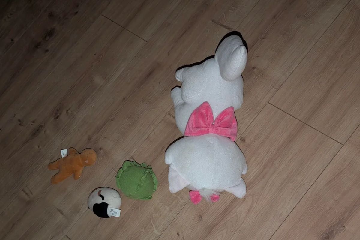 foto colorida pelúcias que o gato leva para a tutora