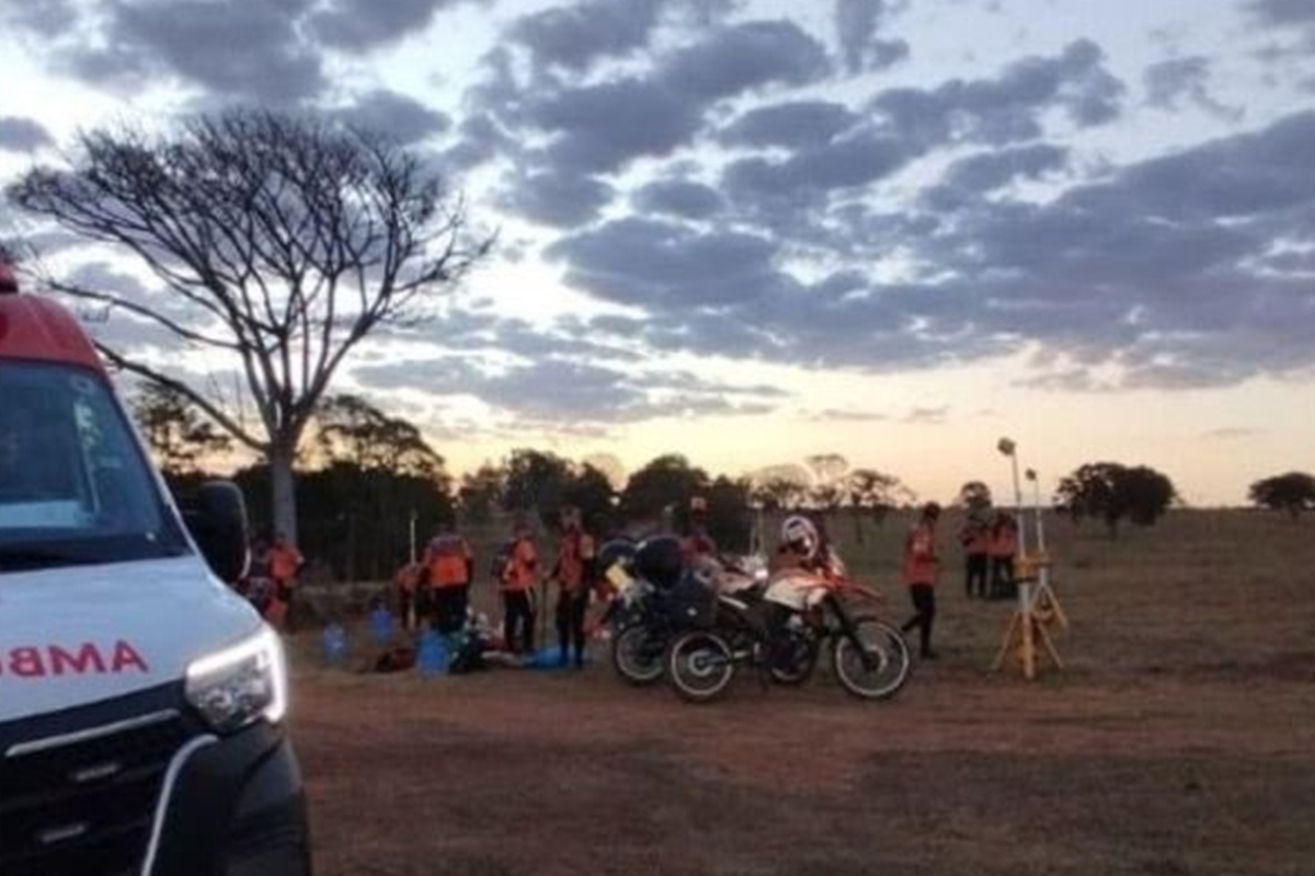 Abelhas atacam grupo de Legendários em retiro e 10 são hospitalizados