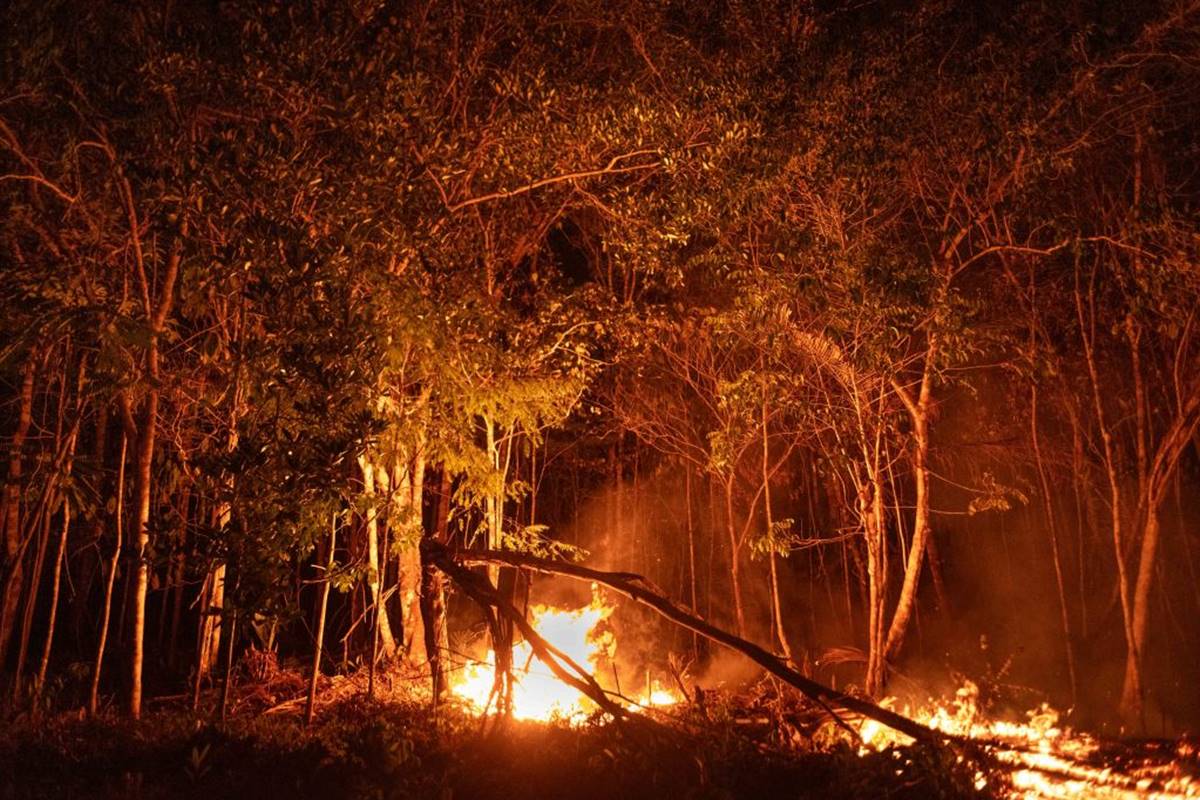 Queimadas no Cerrado são quase o dobro da Amazônia em 2025