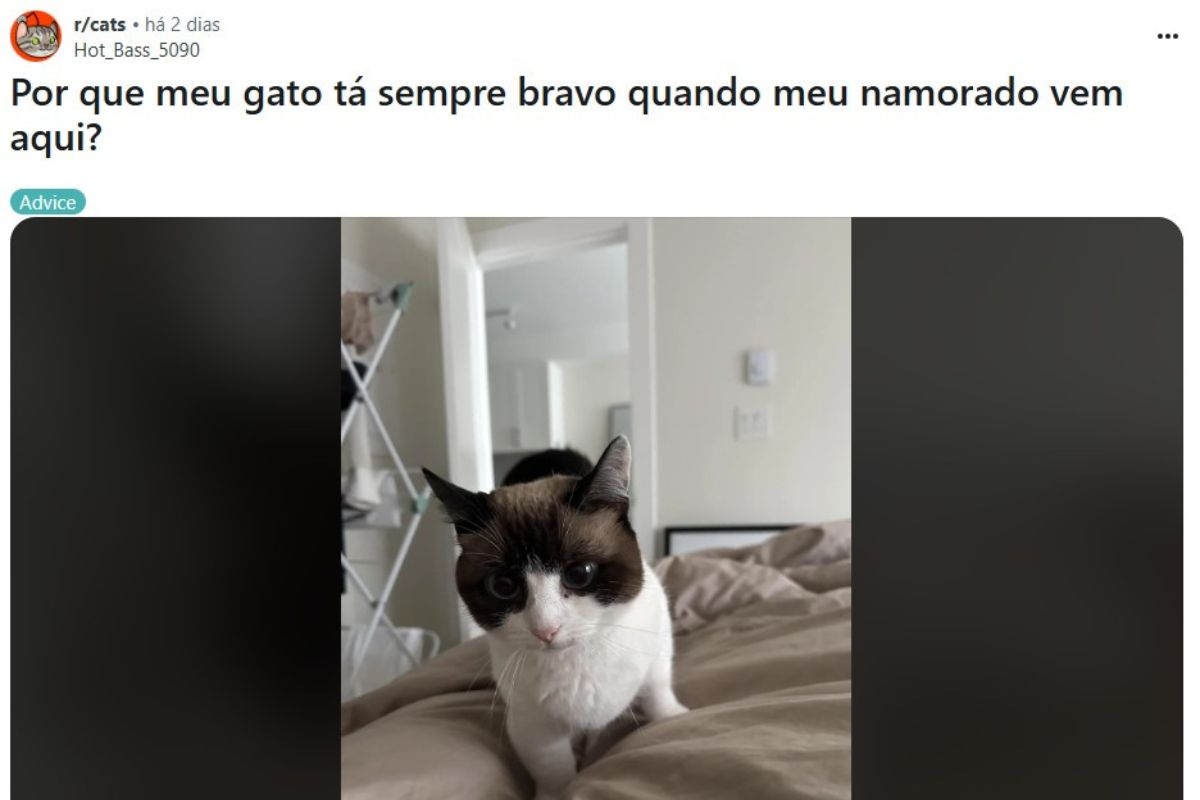 Print da publicação da tutora no Reddit