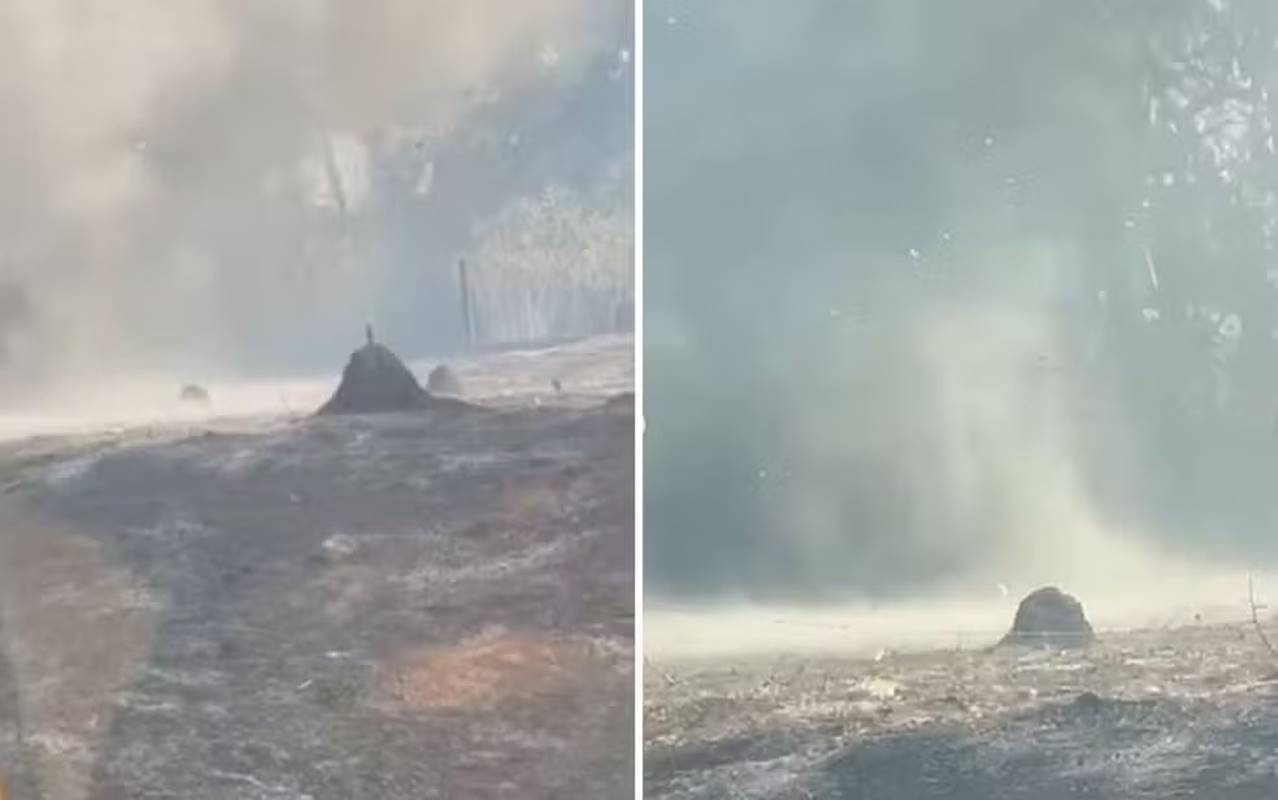 Redemoinho de cinzas impressiona bombeiros em Goiás; veja vídeo
