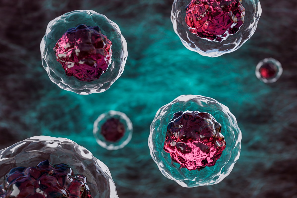 Foto colorida de células-tronco. Cientistas descobrem complexo de DNA ligado à fertilidade e ao câncer