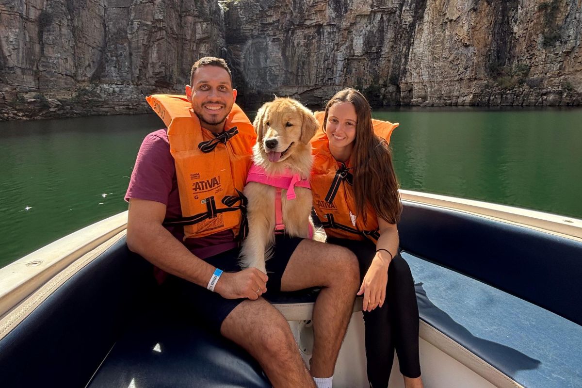 Imagem colorida de cadela golden retriever com casal de tutores