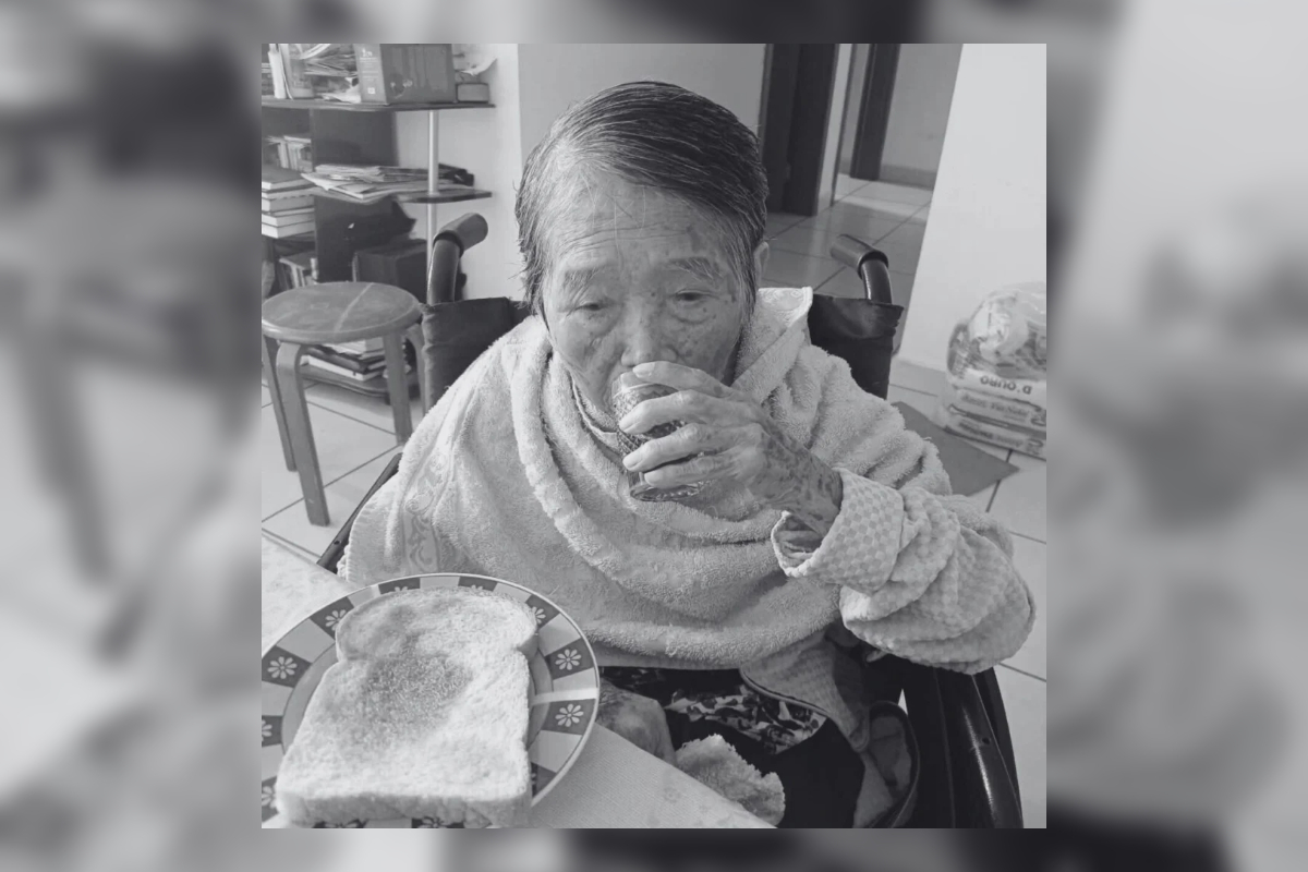 Idosa de 89 anos atacada por cachorro morre em hospital no Paraná