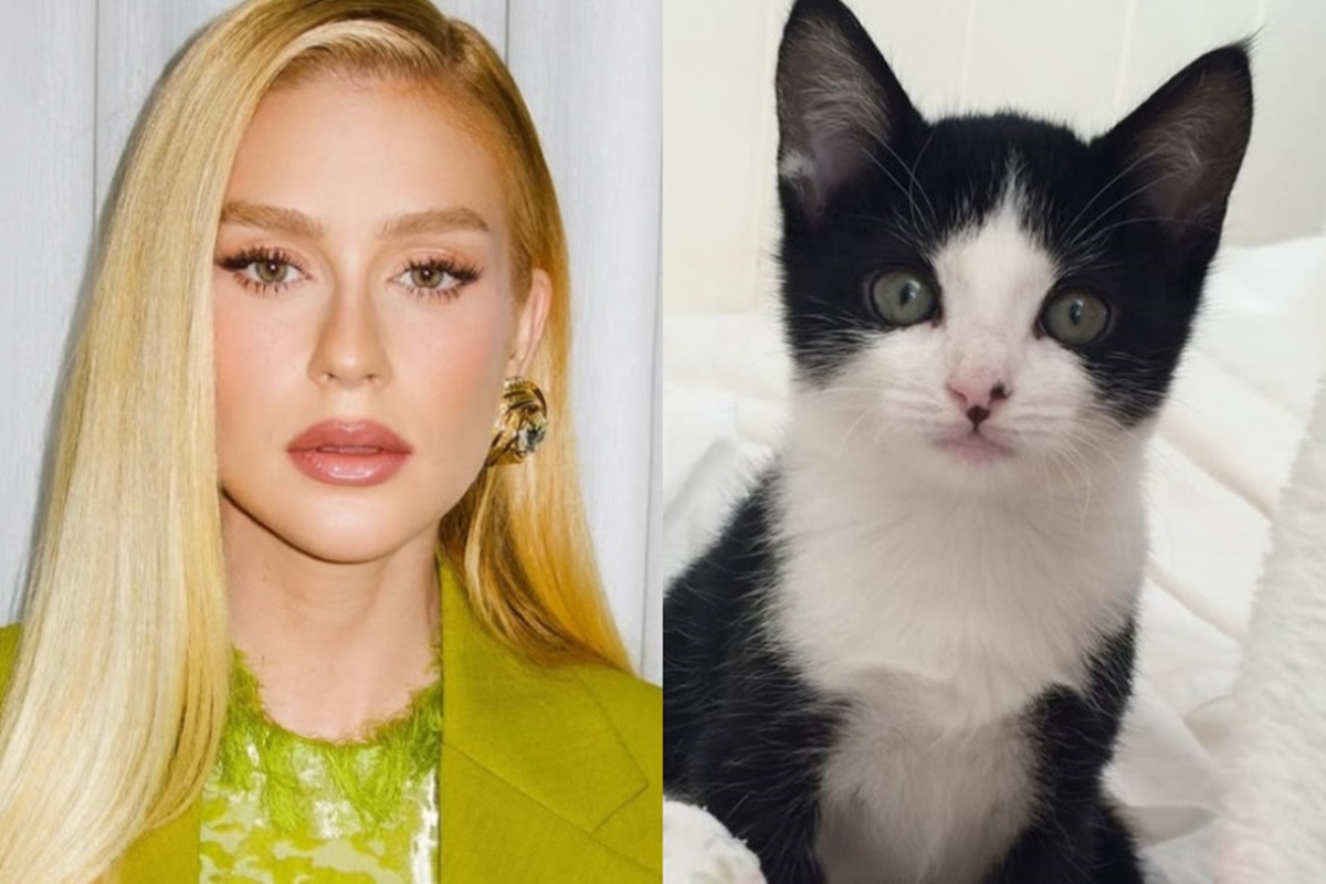 Após horas de busca, Marina Ruy Barbosa localiza gato João