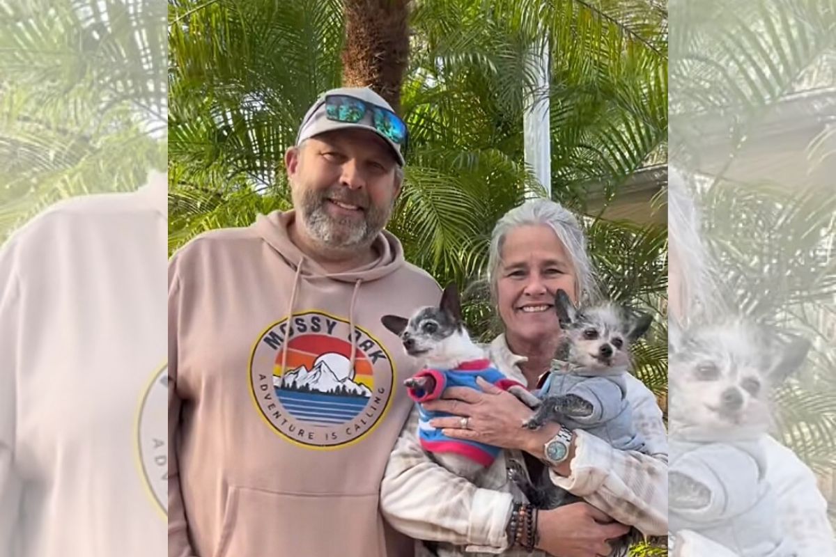 foto colorida de cadela idosa com nova família 