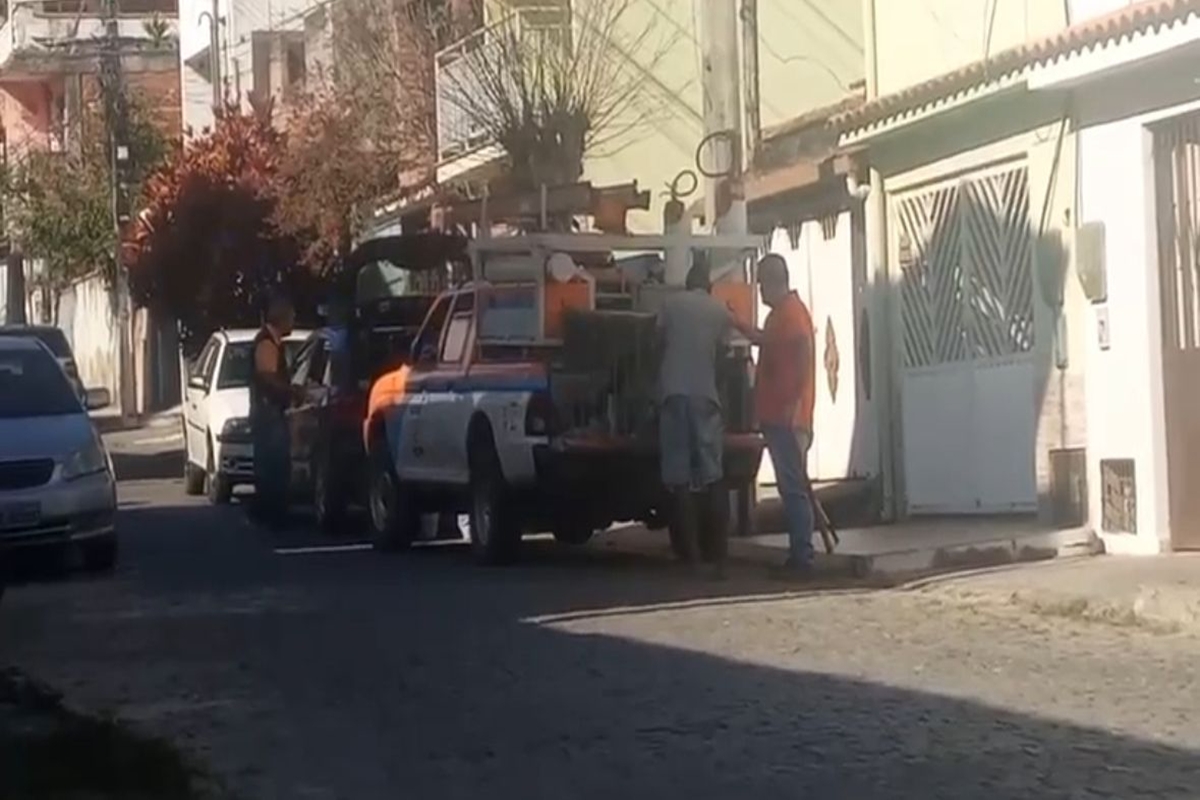 Funcionários da Defesa Civil são presos por sedar e abandonar cães