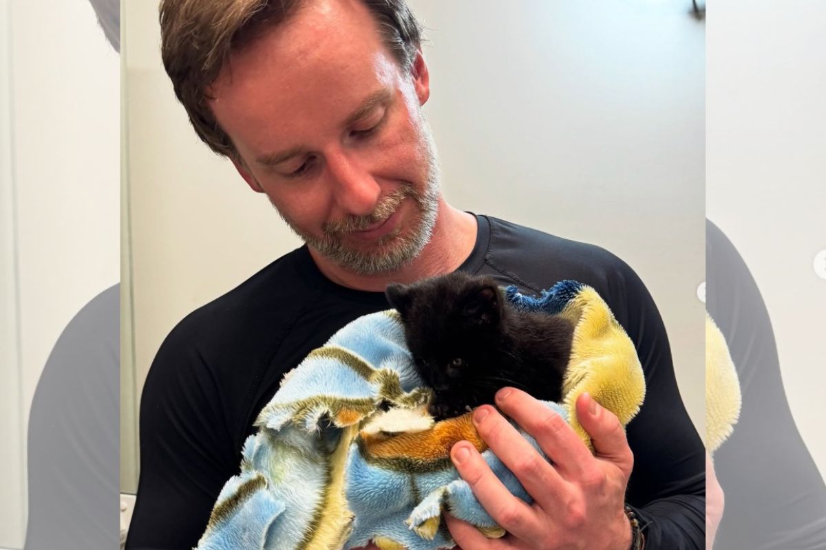 foto colorida de biólogo com gato-do-mato