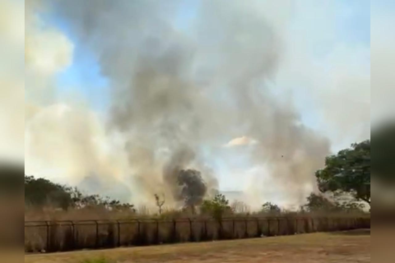 Vídeo: incêndio atinge área de vegetação próximo ao aeroporto do DF