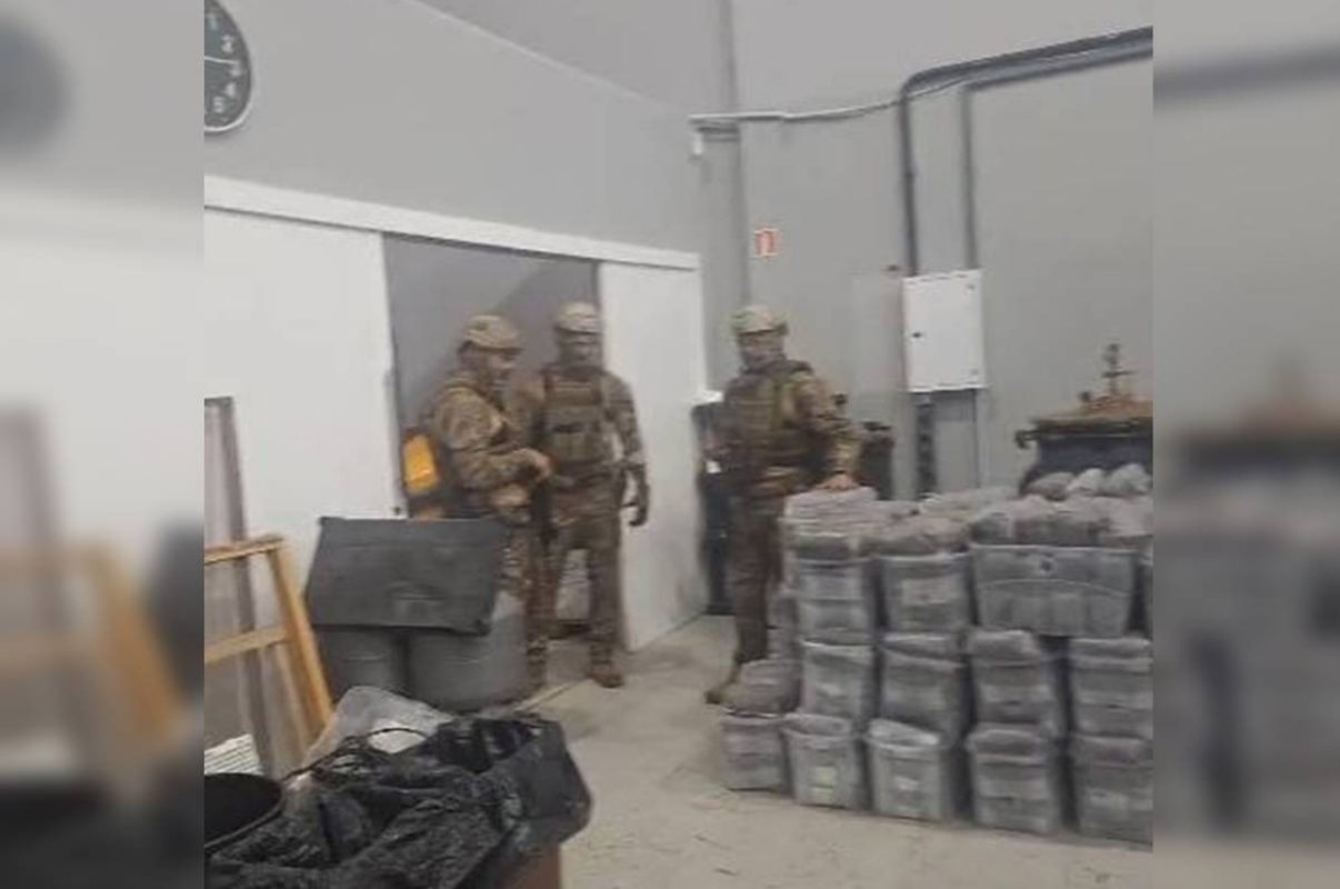 Fábrica dos “Cogumelos Mágicos” operava com alvará de prefeitura