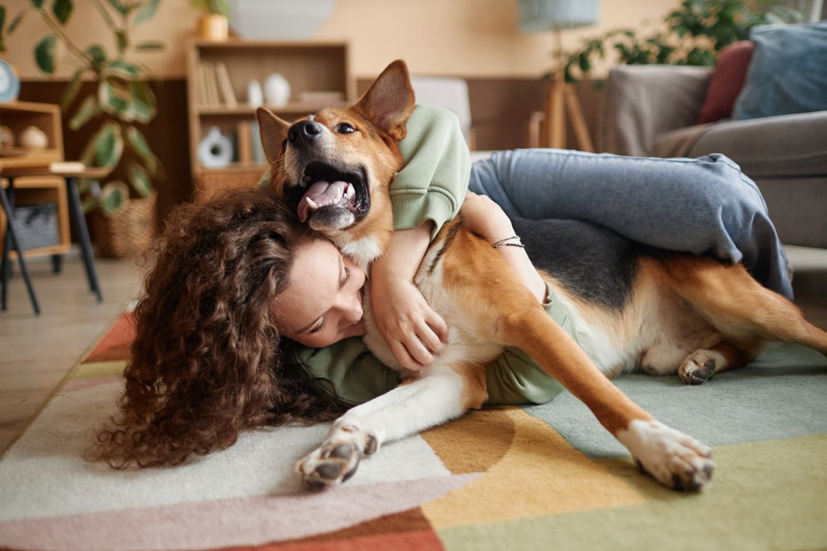 Dez sinais de que seu cachorro te considera a pessoa preferida dele