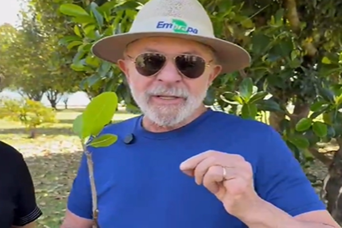 Lula planta cajueiro às vésperas do 7 de Setembro: “Cuidar do futuro”