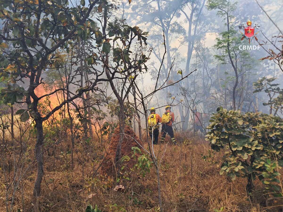 Incêndio florestal chega próximo a casas no Park Way