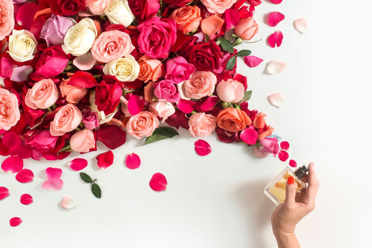 Leveza e vitalidade no ar: veja os perfumes ideais para a primavera